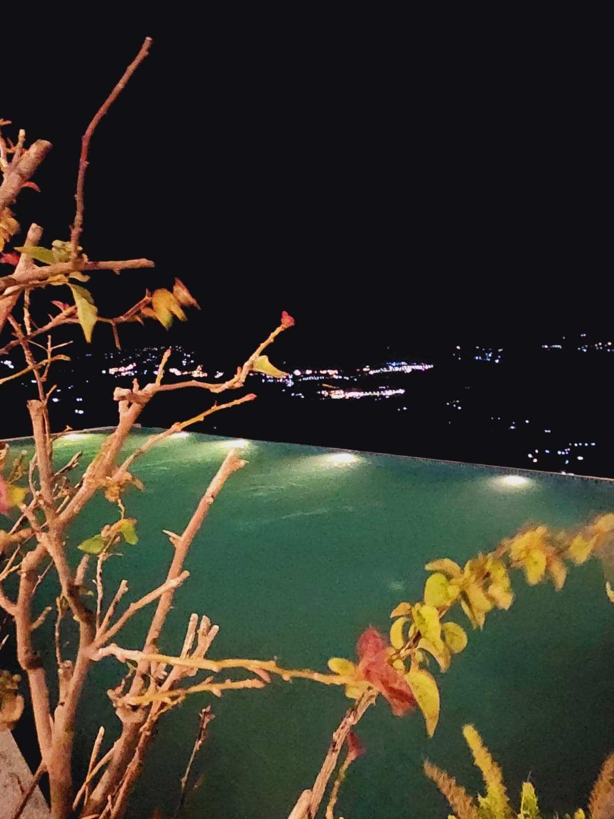 Wine and Dine at Astra Resort and Caffe Kasauli 
