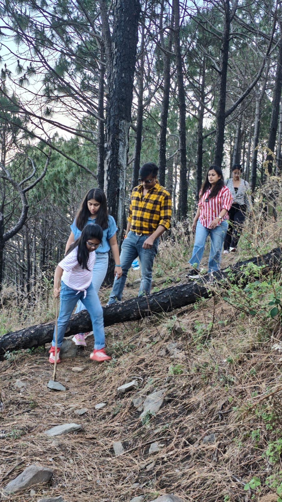 Trekking experience near Astra Resort and Caffe Kasauli 